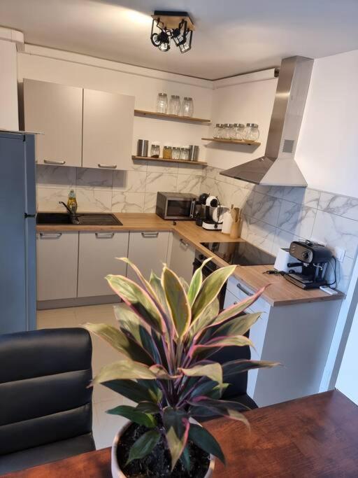 Appartement Vue Mer Avec Parking Gratuit Sur Place Bastia  Esterno foto